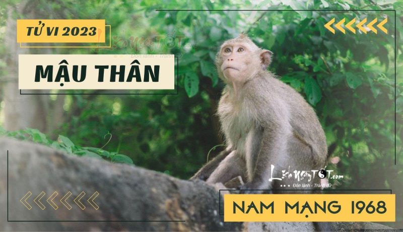 Tử vi 2023 tuổi Mậu Thân nam mạng - Tử vi tuổi Mậu Thân năm 2023 nam mạng