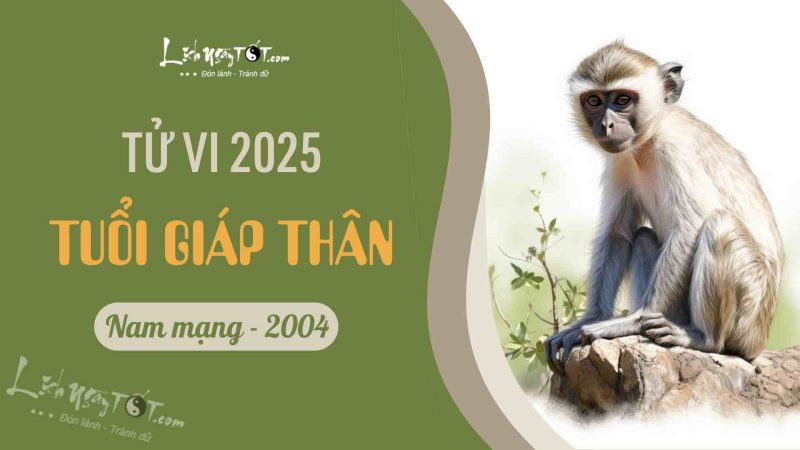 Tử vi 2025 nam mạng tuổi Giáp Thân