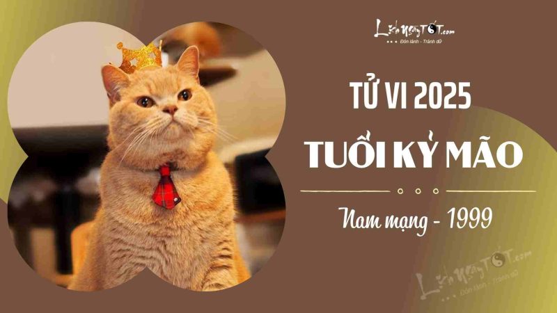 Tử vi 2025 tuổi Kỷ Mão nam mạng 1999: Vận hạn công danh, tài chính, tình duyên, sức khỏe