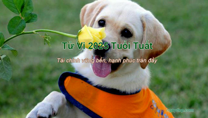 Tử vi 2025 tuổi Tuất