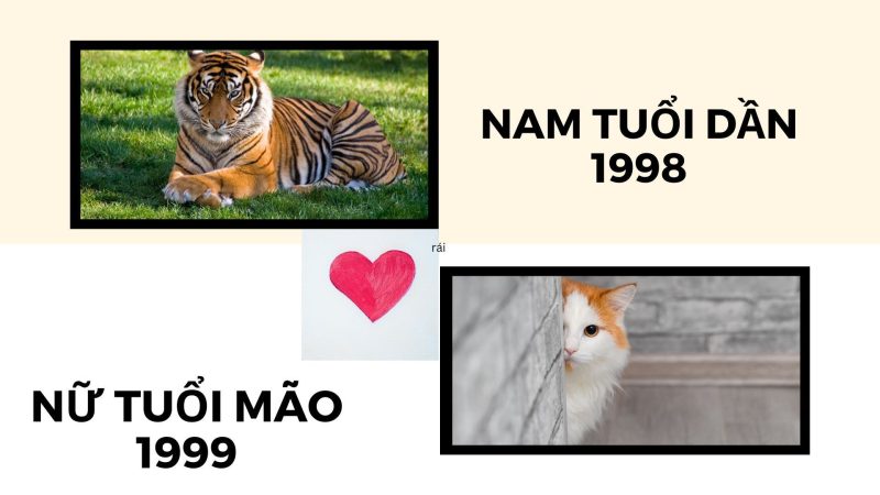tử vi 365 net