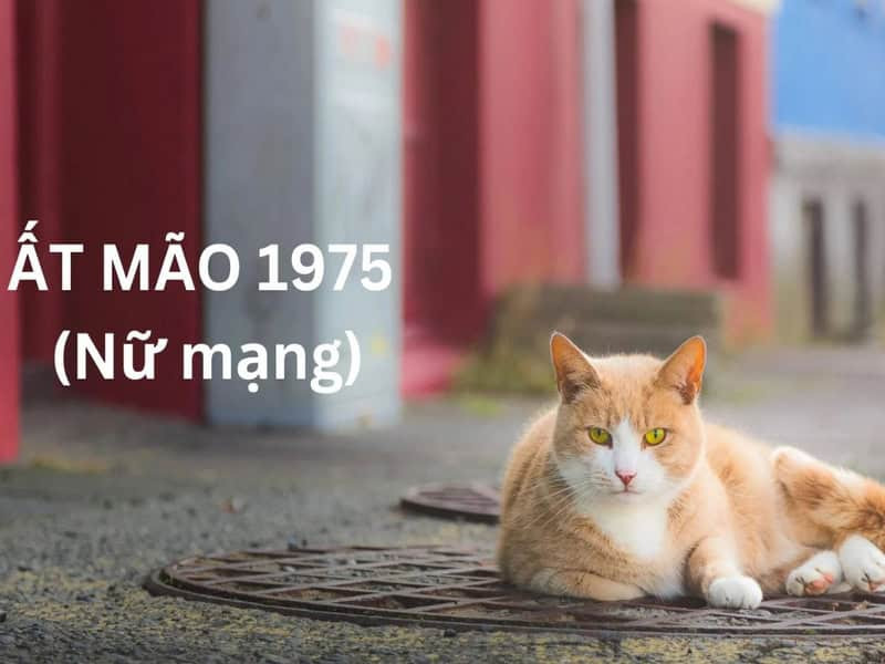 Tử vi Ất Mão nữ mạng 2025 có gì cần quan tâm