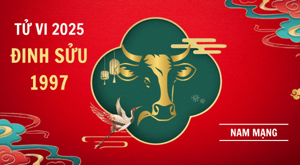 tử vi đinh sửu nam mạng 2025