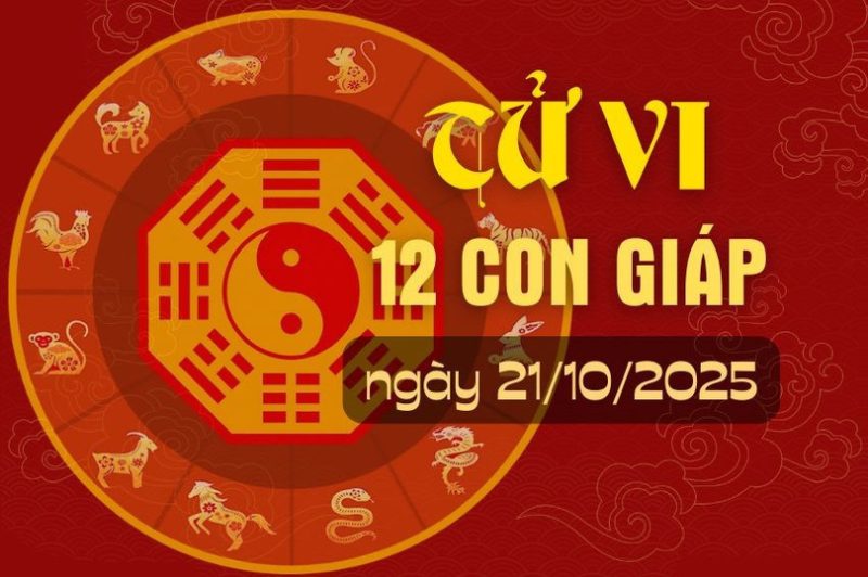 tử vi hàng ngày 29 10, dự đoán vận mệnh, xem bói 12 con giáp