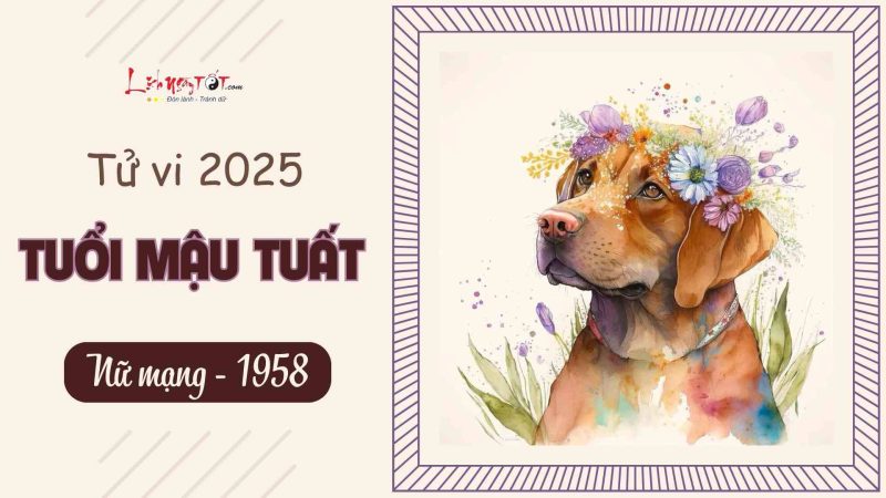 Tử vi Mậu Tuất 2025 nữ mạng, dự đoán vận hạn tuổi 1958