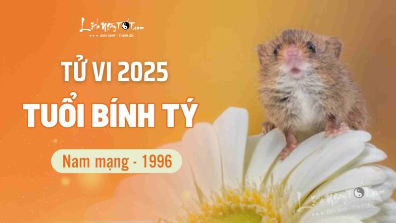 Tử vi nam 1996 năm 2025 tuổi Bính Tý: Tổng quan vận hạn