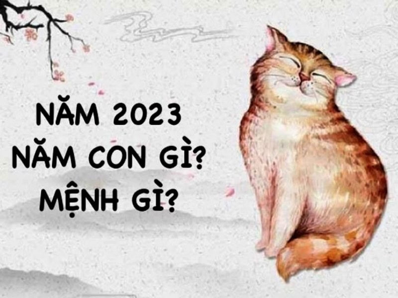 Tử vi năm 2023 cho bé