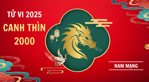 tử vi nam canh thìn 2000 năm 2025