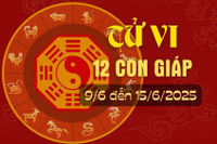 tử vi ngày 11 tháng 6 năm 2025 của 12 con giáp