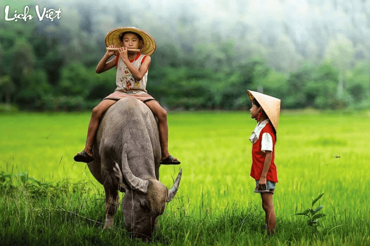 Tử vi ngày 14 tháng 12 năm 2024 của 12 con giáp: Tuổi Sửu