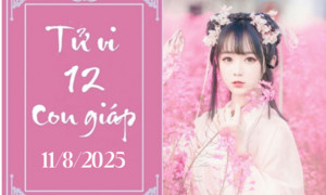 Tử vi ngày 14/8: Lời khuyên tâm linh cho mỗi con giáp