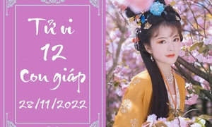 Tử vi ngày 30 11 của 12 con giáp - Năng lượng và vận trình