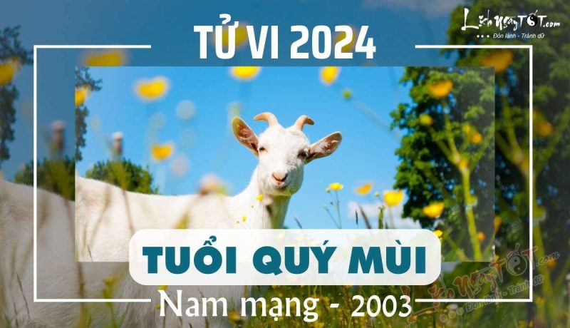 tử vi quý mùi 2003 năm 2024 nam mạng tổng quan