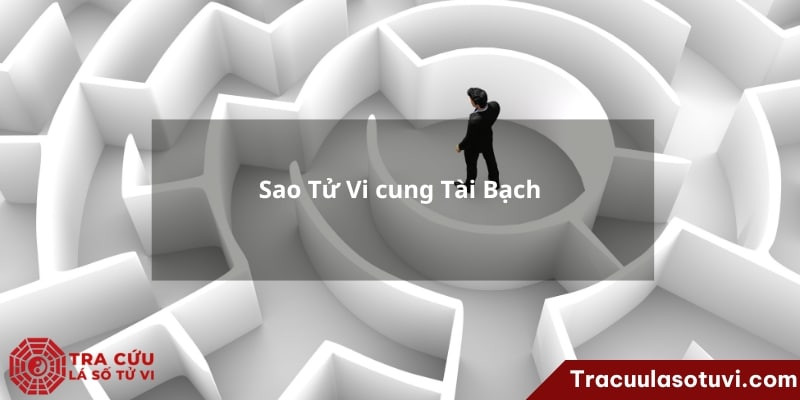 Tử Vi tại cung Tài Bạch, tượng trưng cho tài lộc và của cải, cung phúc đức có tử vi