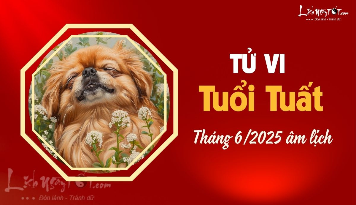 Tử vi tháng 6 âm lịch tuổi Tuất