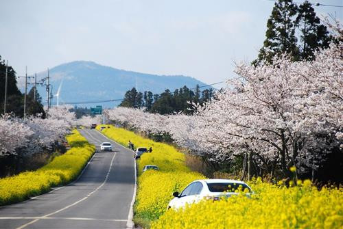 Tử vi tuần mới cung hoàng đạo Nhân Mã nóng nảy