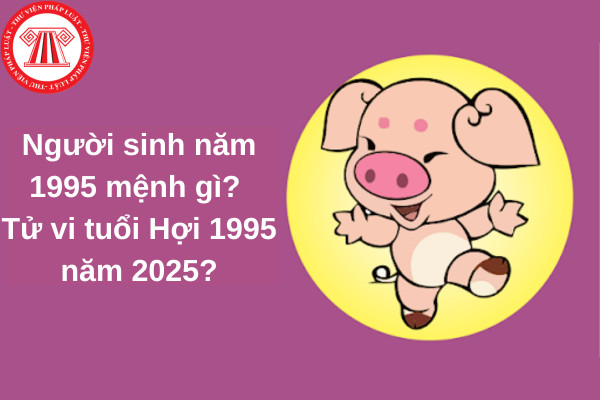 tử vi tuổi 1995 - hình ảnh chú heo vàng biểu tượng của tuổi Ất Hợi trên phông nền may mắn