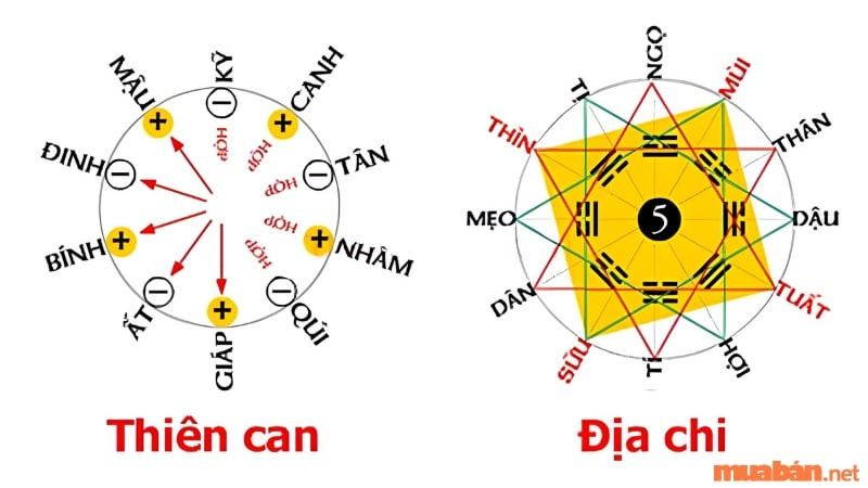 Tử vi tuổi Bính Thân 2016 nữ mạng xét theo thiên can