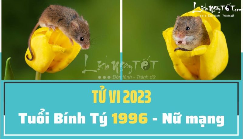 tử vi tuổi Bính Tý 1996 năm 2023 nữ mạng