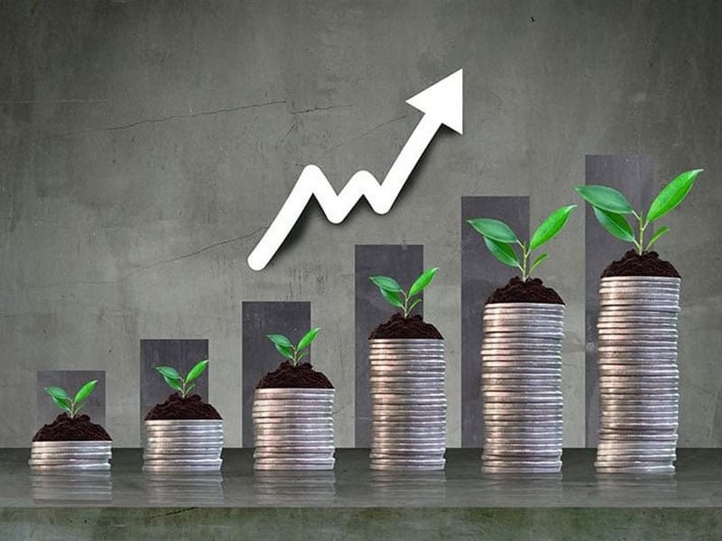 tử vi tuổi Bính Tý năm 2026 nữ mạng phát triển sự nghiệp
