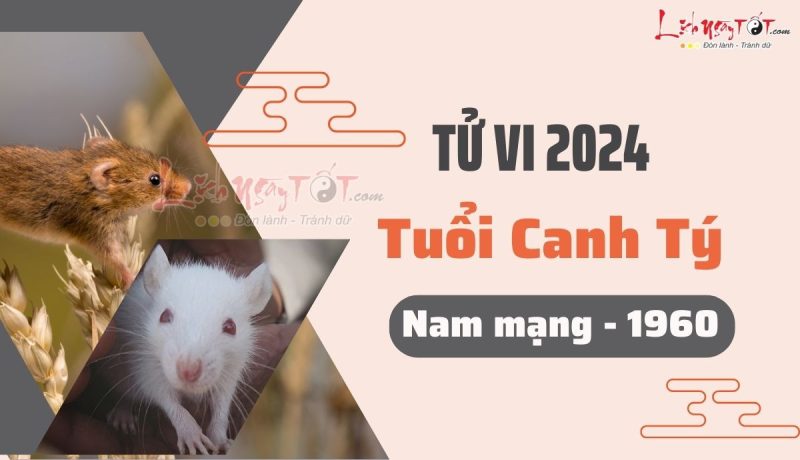 Tử vi tuổi Canh Tý năm 2024 nam mạng