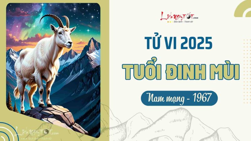 Tử vi tuổi Đinh Mùi 1967 nam mạng năm 2025