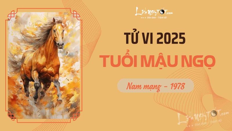 Tử vi tuổi Mậu Ngọ nam mạng 2025 tổng quan vận trình