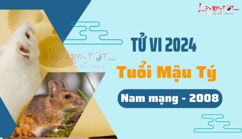 Tử vi tuổi Mậu Tý 2008 nam mạng năm 2024