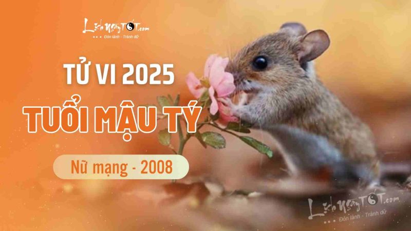 Tử vi tuổi Mậu Tý 2008 nữ mạng năm 2025