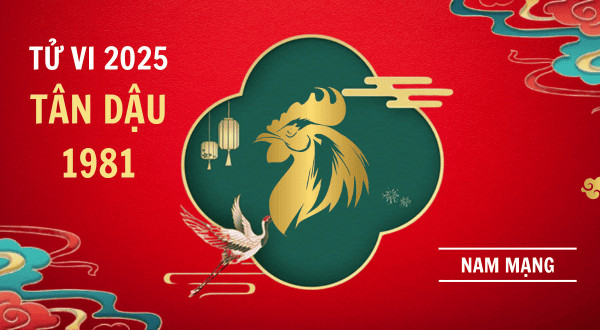 tử vi tuổi tân dậu nam mạng năm 2025 chi tiết