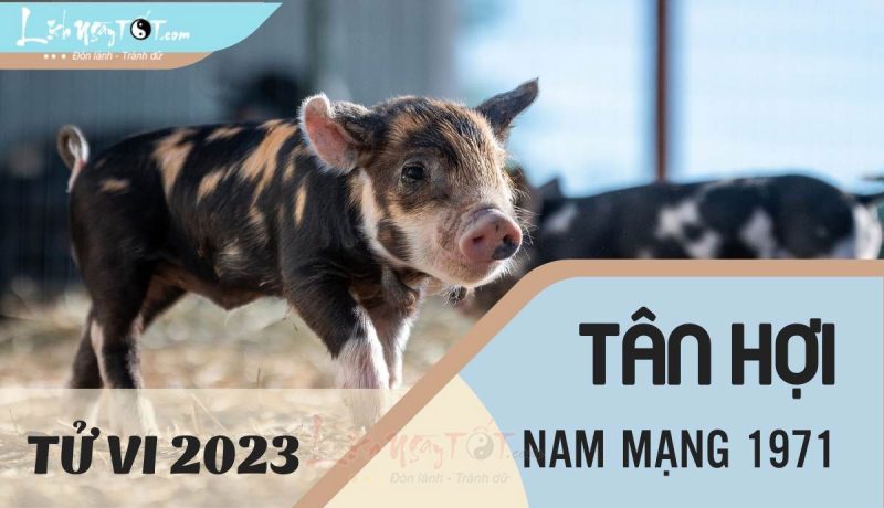Tử vi tuổi Tân Hợi 1971 nam mạng năm Quý Mão 2023 với vận trình chi tiết