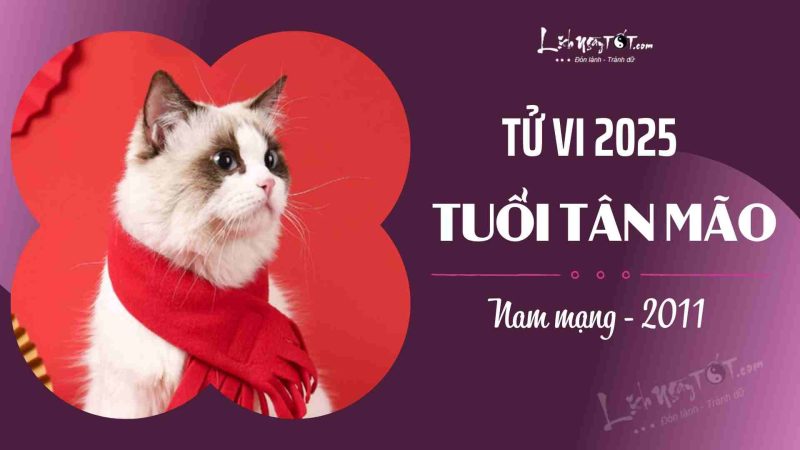 Tử vi tuổi Tân Mão 2011 nam mạng năm 2025