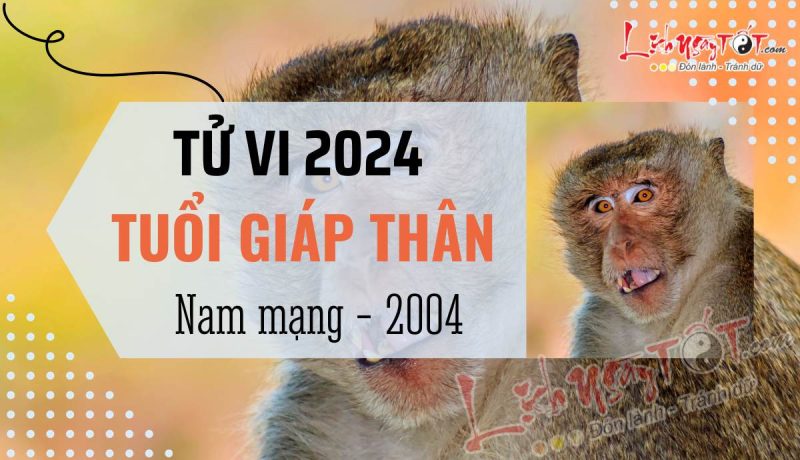 Tử vi tuổi Thân 2004 nam mạng 2024, hình ảnh người xem bói