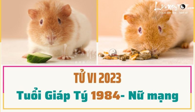 Tử vi tuổi Tý 1984 năm 2023 nữ mạng chi tiết