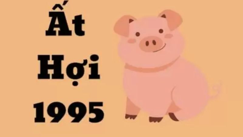 Tuổi Ất Hợi 1995
