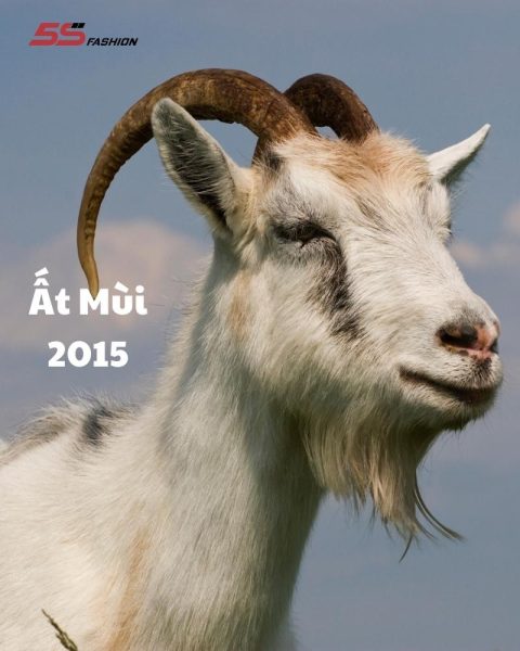 Tuổi Ất Mùi 2015 và sự kết hợp Thiên Can Địa Chi