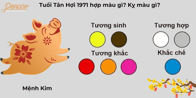 Tuổi Hợi 1971 mệnh Kim hợp màu phong thủy