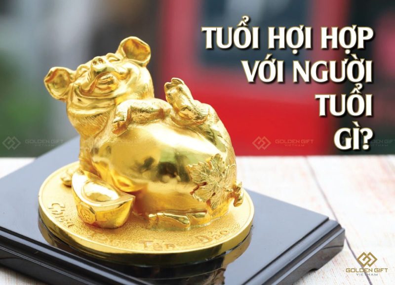 Tuổi Hợi hợp với tuổi Dần Mão Mùi trong tình duyên, mang lại hạnh phúc viên mãn