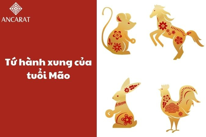 Tuổi Mão kỵ tuổi nào