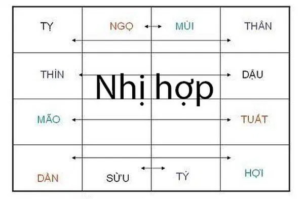 Tuổi nên làm việc bốc mộ theo Nhị Hợp