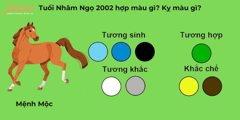 Tuổi Nhâm Ngọ 2002 hợp màu gì 2025