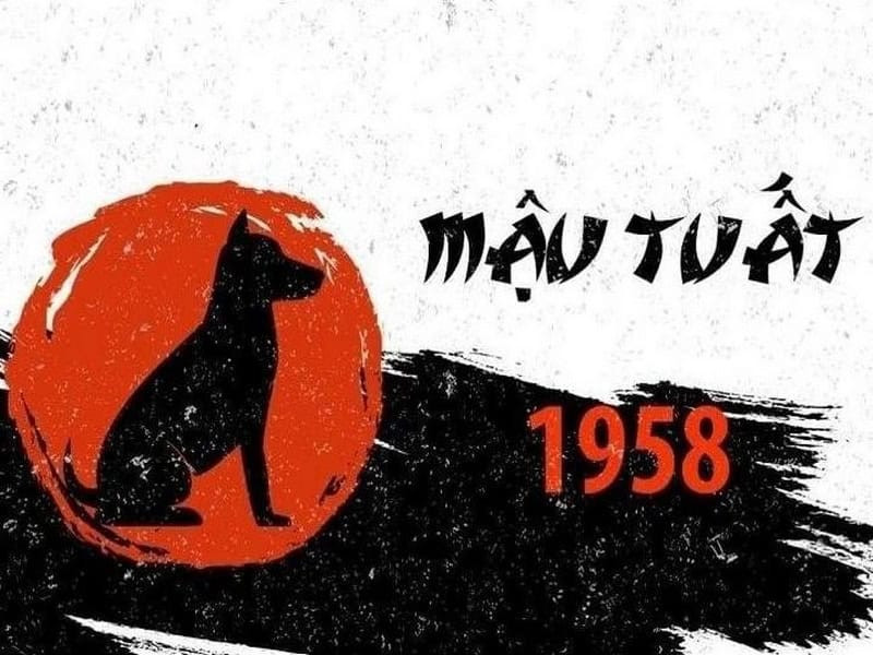 Vận khí tổng quan tuổi Mậu Tuất nam 1958