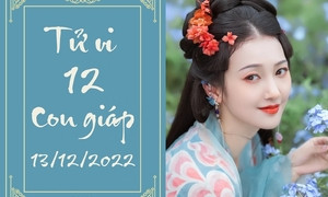 Vận may tử vi 12 con giáp 14 12