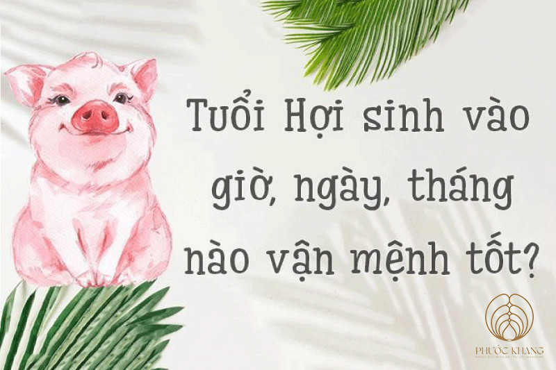 Vận mệnh người tuổi Hợi sinh giờ nào tốt và ảnh hưởng của thời điểm chào đời