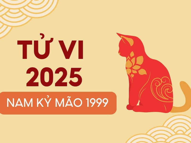 Vận mệnh tử vi Kỷ Mão năm 2025 có nhiều điểm sáng
