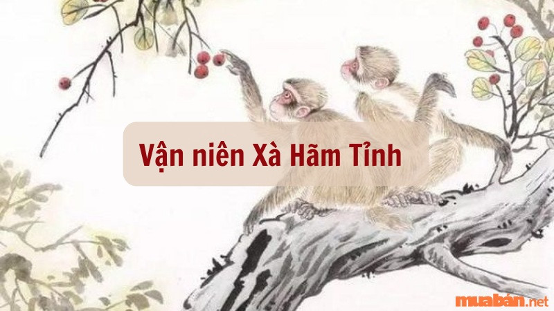 Vận niên của tử vi tuổi Bính Thân 2016 nữ mạng