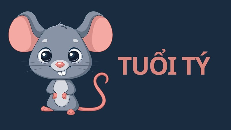 Vận trình của tử vi tuổi Giáp Tý nữ mạng qua các phương diện
