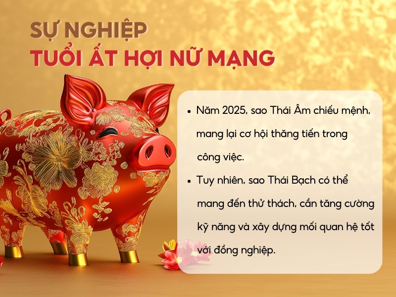 Vận trình sự nghiệp của tử vi Ất Hợi nữ mạng trong năm 2025