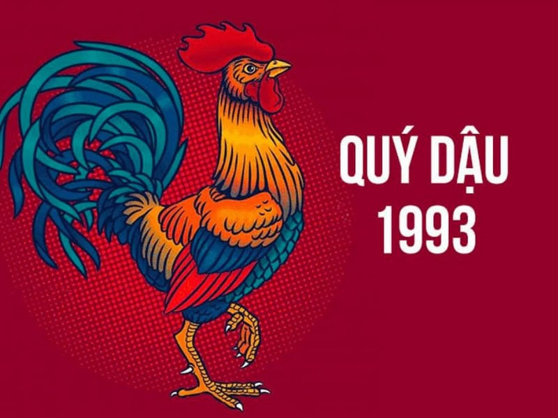 Vận trình tổng quan tử vi tuổi Quý Dậu năm 2026 nam mạng với nhiều triển vọng tích cực