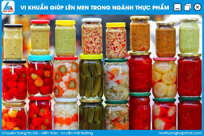 Vi khuẩn trong dạ cỏ hỗ trợ tiêu hóa ở động vật